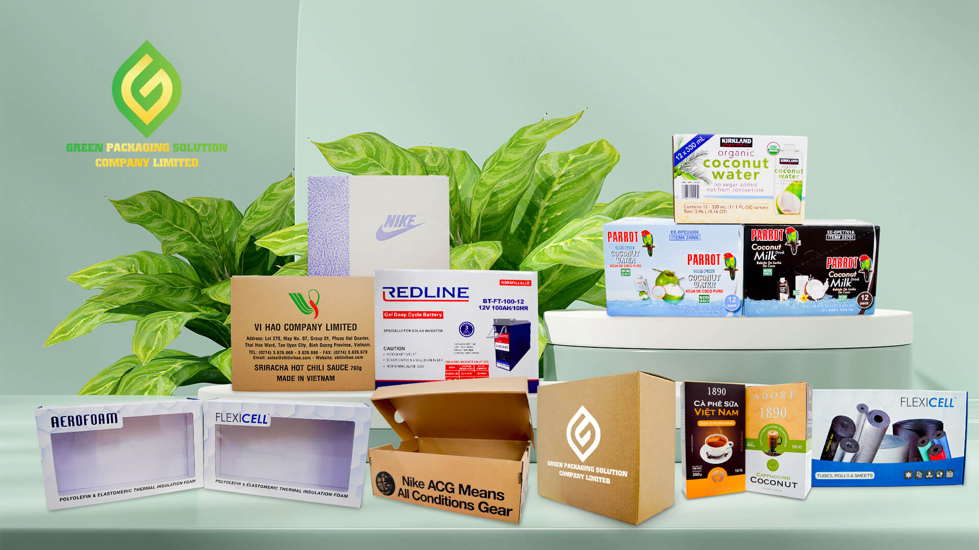 Green Packaging Solution